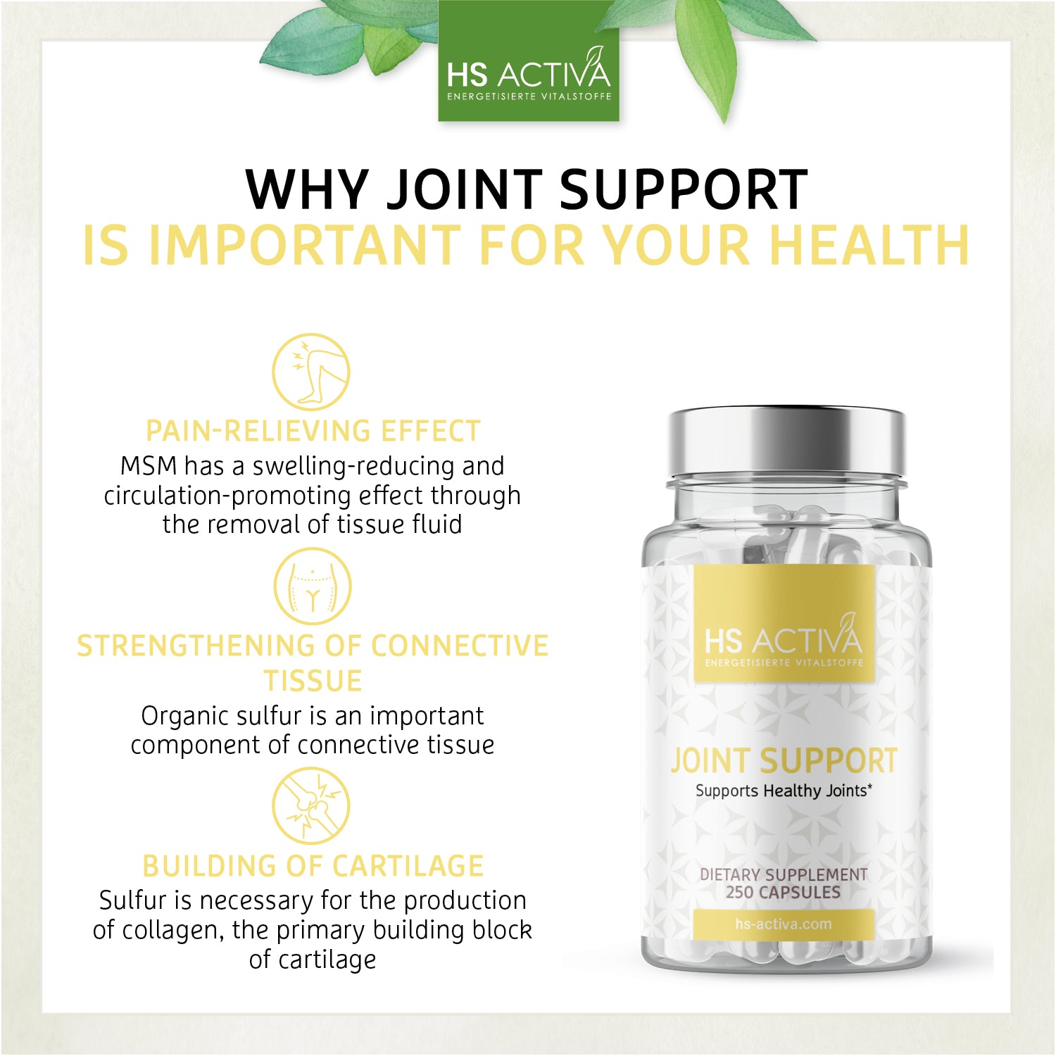 Joint Support - Supports Healthy Joints (250 capsules)