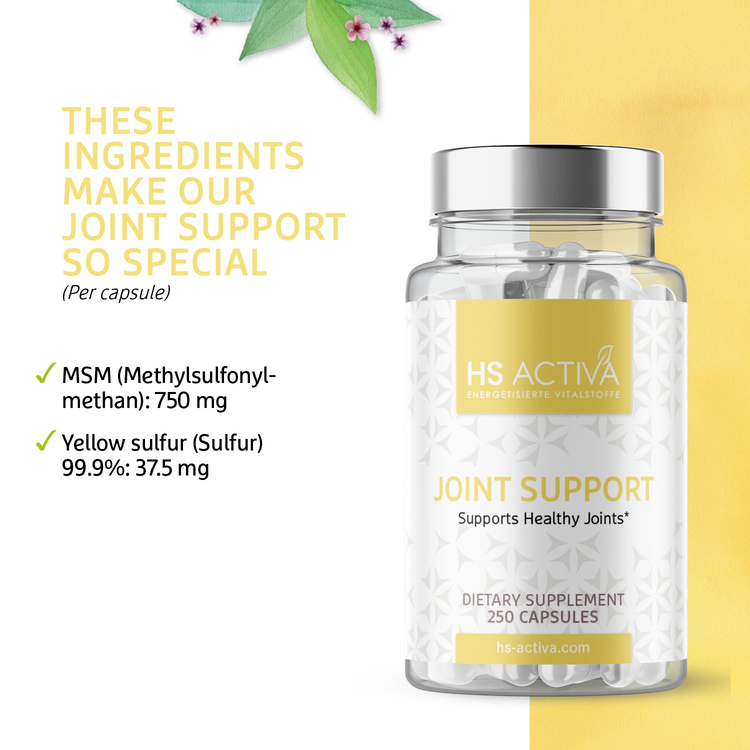 Joint Support - Supports Healthy Joints (250 capsules)